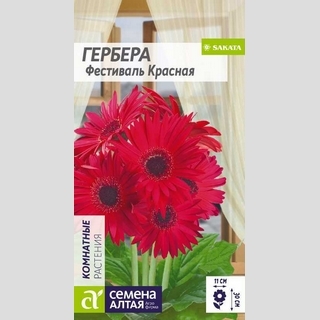 Гербера Фестиваль Красная