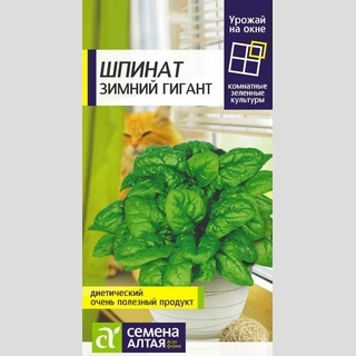 Шпинат Зимний Гигант