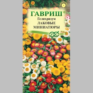 Гелихризум Лаковые миниатюры