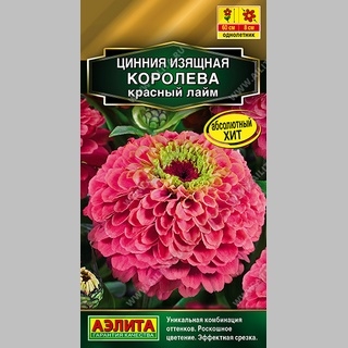 Цинния Королева Красный лайм