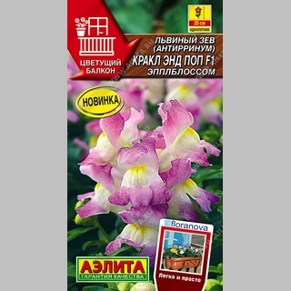 Львиный зев Кракл энд Поп F1 Эпплблоссом