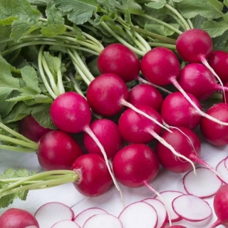Редис Розовый бочок
