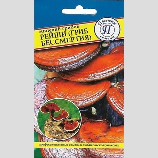 Грибы - Рейши (мицелий) 12 палочек