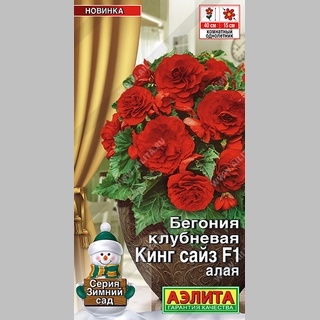 Бегония Кинг Сайз F1 Алая (клубневая)