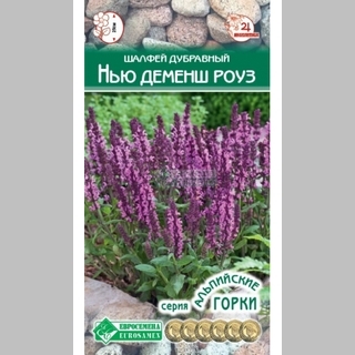 Шалфей Нью Деменш Розе (дубравный)