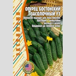 Огурец Бостонский Засолочный F1 (Boston Pickling) (большой пакет)