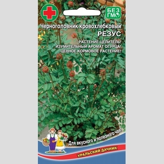 Черноголовник Резус кровохлебковый