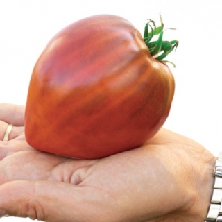 Томат Фиолетовое Сердце