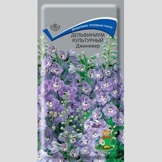 Дельфиниум Джиневер (культурный)