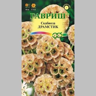 Скабиоза Драмстик (звездчатая)