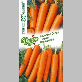 Дуэт Морковь Королева Осени +Нантская 4