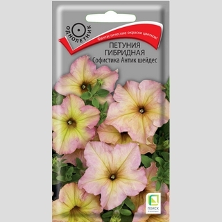 Петуния Софистика F1 Антик Шейдес