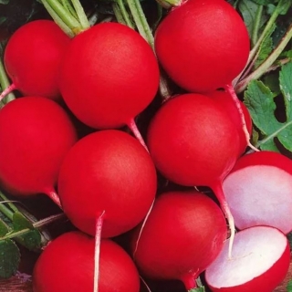 Редис Алекс F1