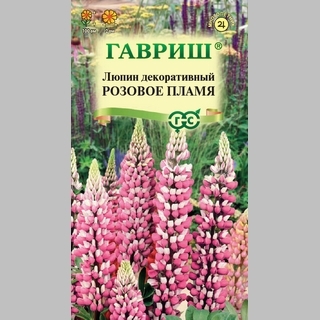 Люпин Розовое пламя