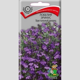 Лобелия Хрустальный дворец (эринус)