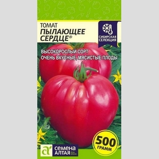 Томат Пылающее Сердце