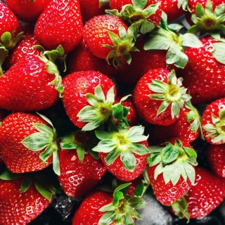 Земляника Красная варежка