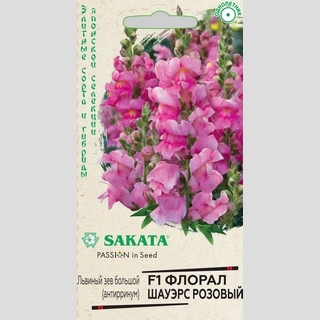 Антирринум Флорал Шауэрс Розовый F1 (Львиный зев)