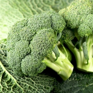 Капуста Фабрика здоровья