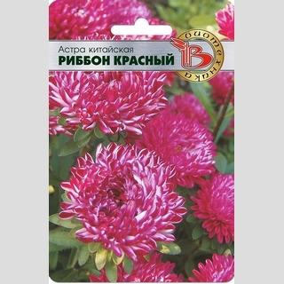 Астра Риббон Рэд