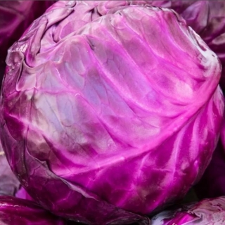 Капуста Вегетарианка