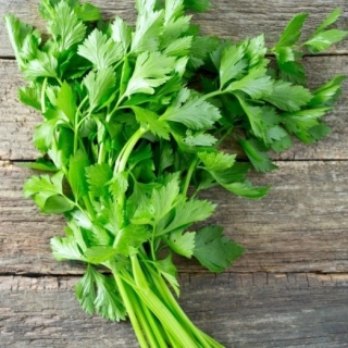 Сельдерей Афинский листовой