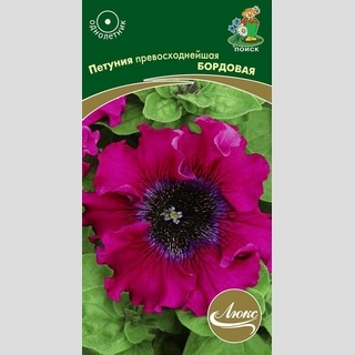 Петуния превосходнейшая Бордовая