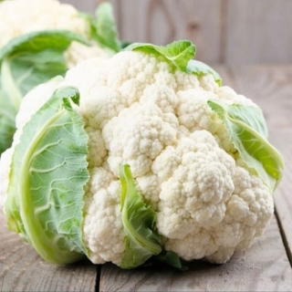 Капуста Малима F1 цветная