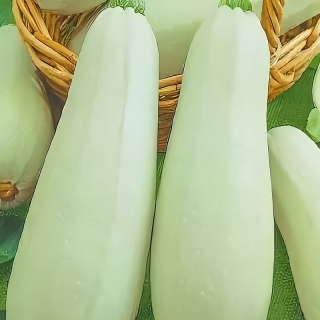 Кабачок 13 Стульев