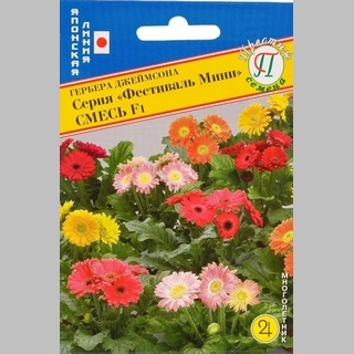 Гербера Фестиваль мини F1 смесь