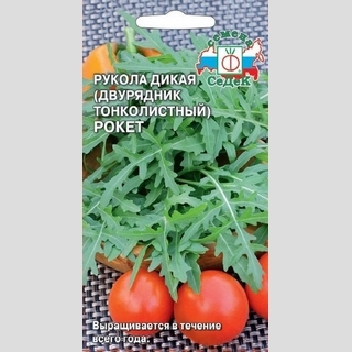Рукола дикая Рокет (двурядник толстолистный)