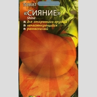 Томат Сияние