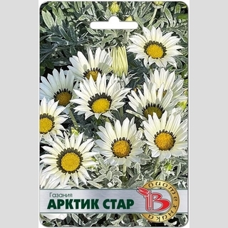 Газания (гацания) Арктик Стар