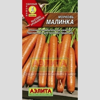 Морковь Малинка