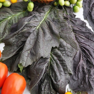 Горчица салатная Русский размер