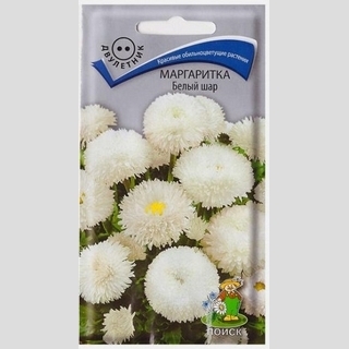 Маргаритка Белый шар