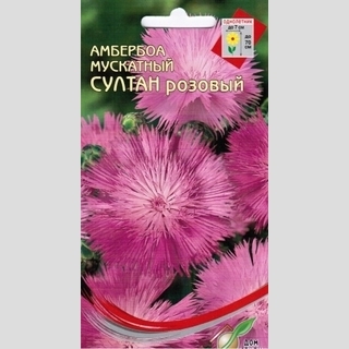 Амбербоа Султан розовый (василек мускатный)