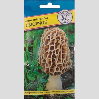 Грибы - Сморчок (мицелий) 60 мл