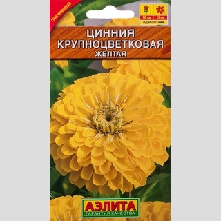 Цинния Крупноцветковая желтая