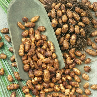 Чуфа (большой пакет)