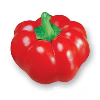 Перец Калабрезе F1