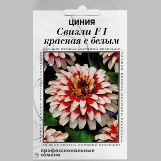 Цинния Свизли F1 Красная с белым