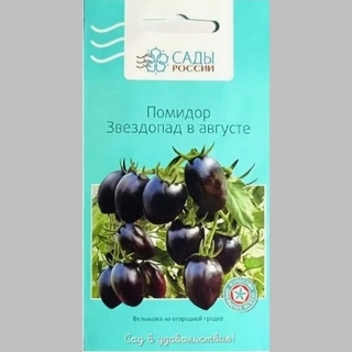 Томат Звездопад в Августе