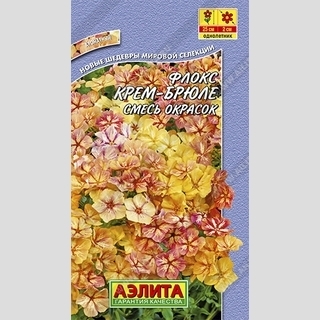 Флокс Крем-брюле смесь