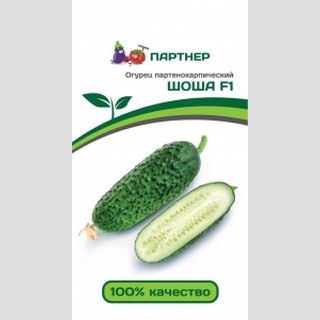 Огурец Шоша F1