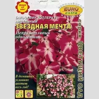 Бальзамин Звёздная мечта F1 (ампельный)