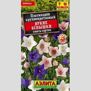 Платикодон Яркие вспышки смесь