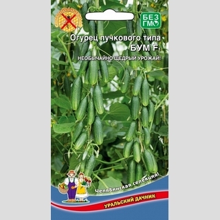 Огурец Бум F1