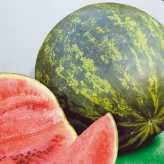 Арбуз Розовое шампанское F1