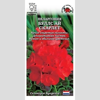 Пеларгония Буллс Ай Скарлет F1